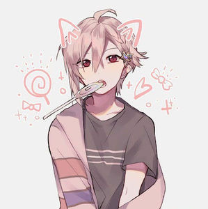 Meet your Posher, Raven